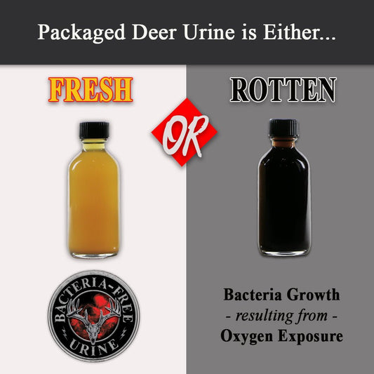 Field Fresh™ vs. Rot: Why Urine Spoilage Destroys the Scent Signal - Tactical VAPOR