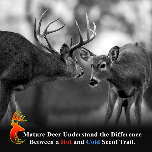 Trap the Hook: How to Build Scent Setups That Hunt the Downwind Circle - Tactical VAPOR