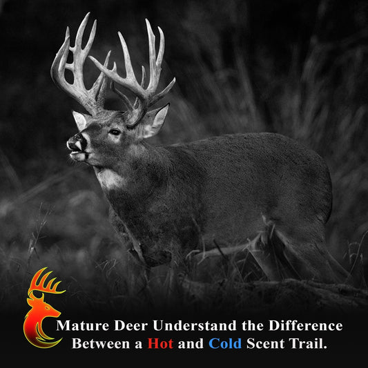 Why Bucks Circle Downwind — and What to Do About It - Tactical VAPOR