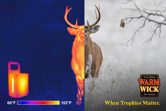 Temperature Tango: Unraveling the Mysteries of Aroma Transformation - Tactical VAPOR