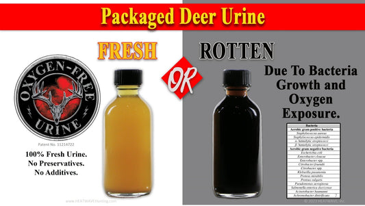 The Invisible Battle: How Oxygen Turns Nature's Scent Sour - Exploring the Science Behind Spoiled Urine Hunting Attractants - Tactical VAPOR