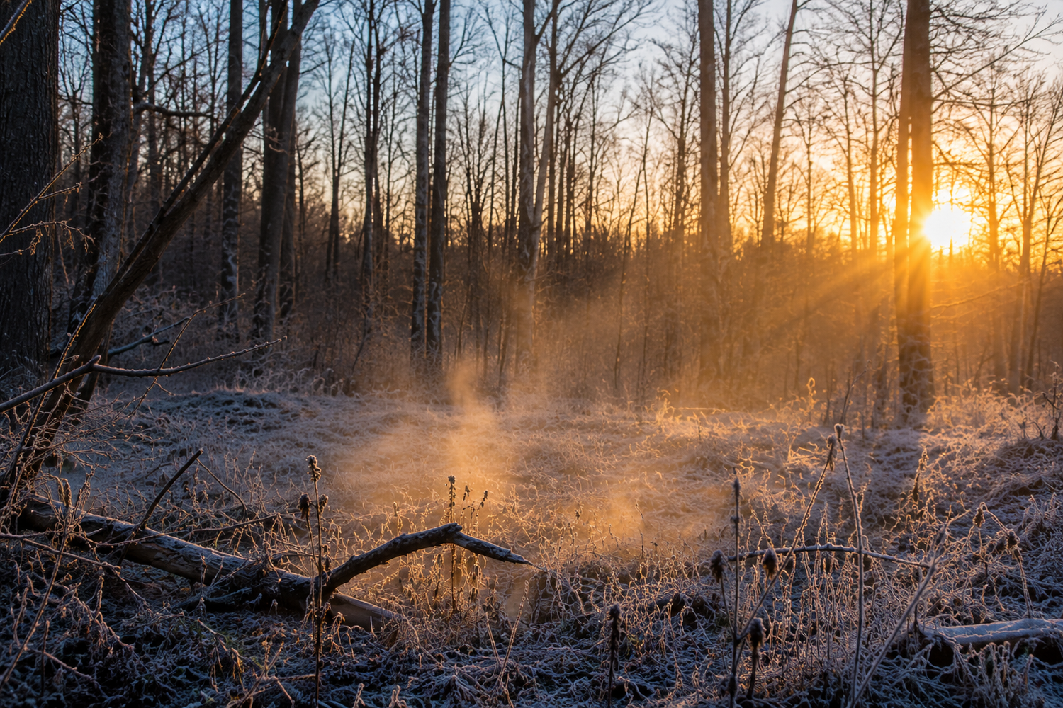 WARM WICK® hero image showing a buck in snowy woods during cold-front hunting conditions.