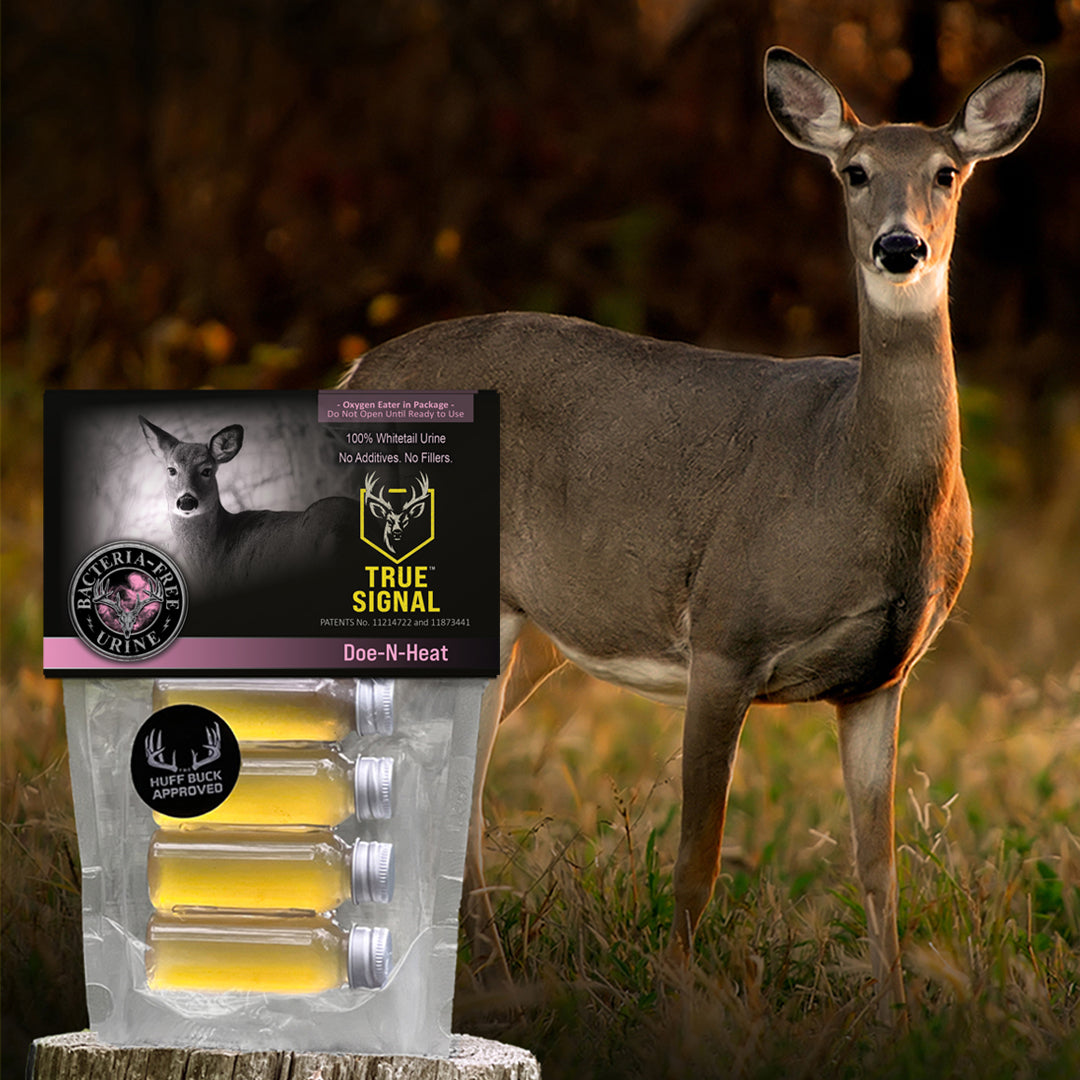 True Signal™ Protected Urine product image showing fresh deer signal protected until ready to deploy.