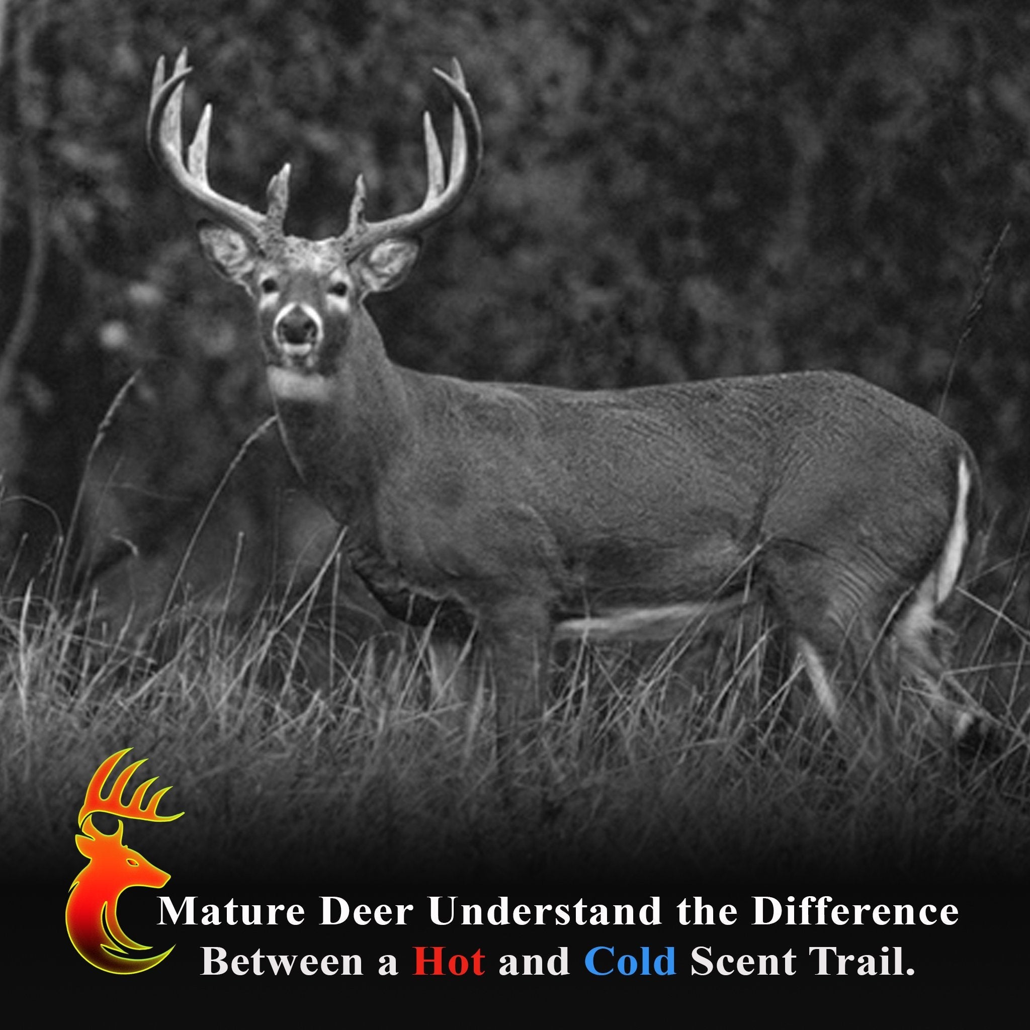 Bone Dry WARM WICK - HEATWAVE Hunting