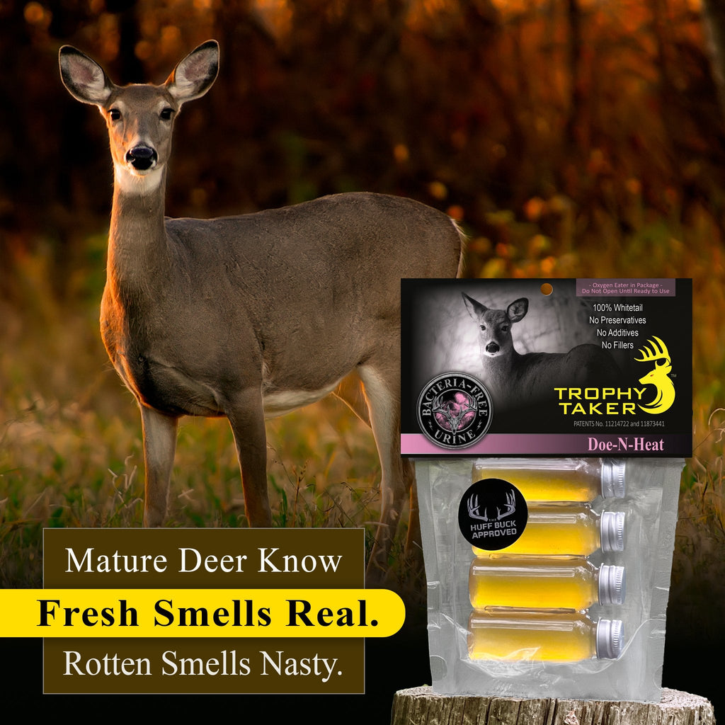 Doe - N - Heat Urine - HEATWAVE Hunting