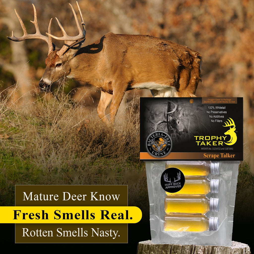 Scrape Talker Urine - HEATWAVE Hunting