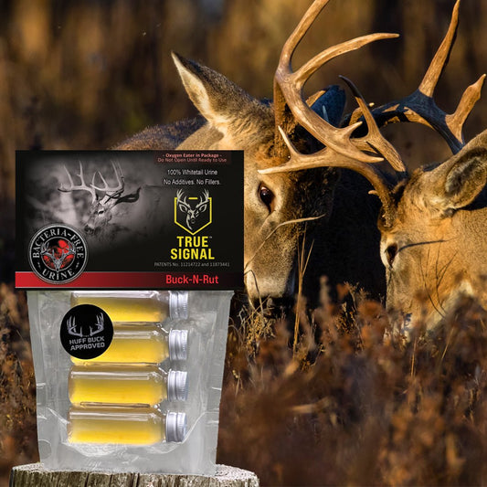 True Signal™ Buck-N-Rut protected dominant buck urine signal for mature buck rut setups.