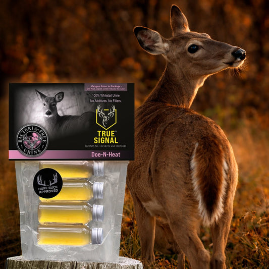 True Signal™ Doe-N-Heat protected estrus doe urine signal for rut hunting setups.