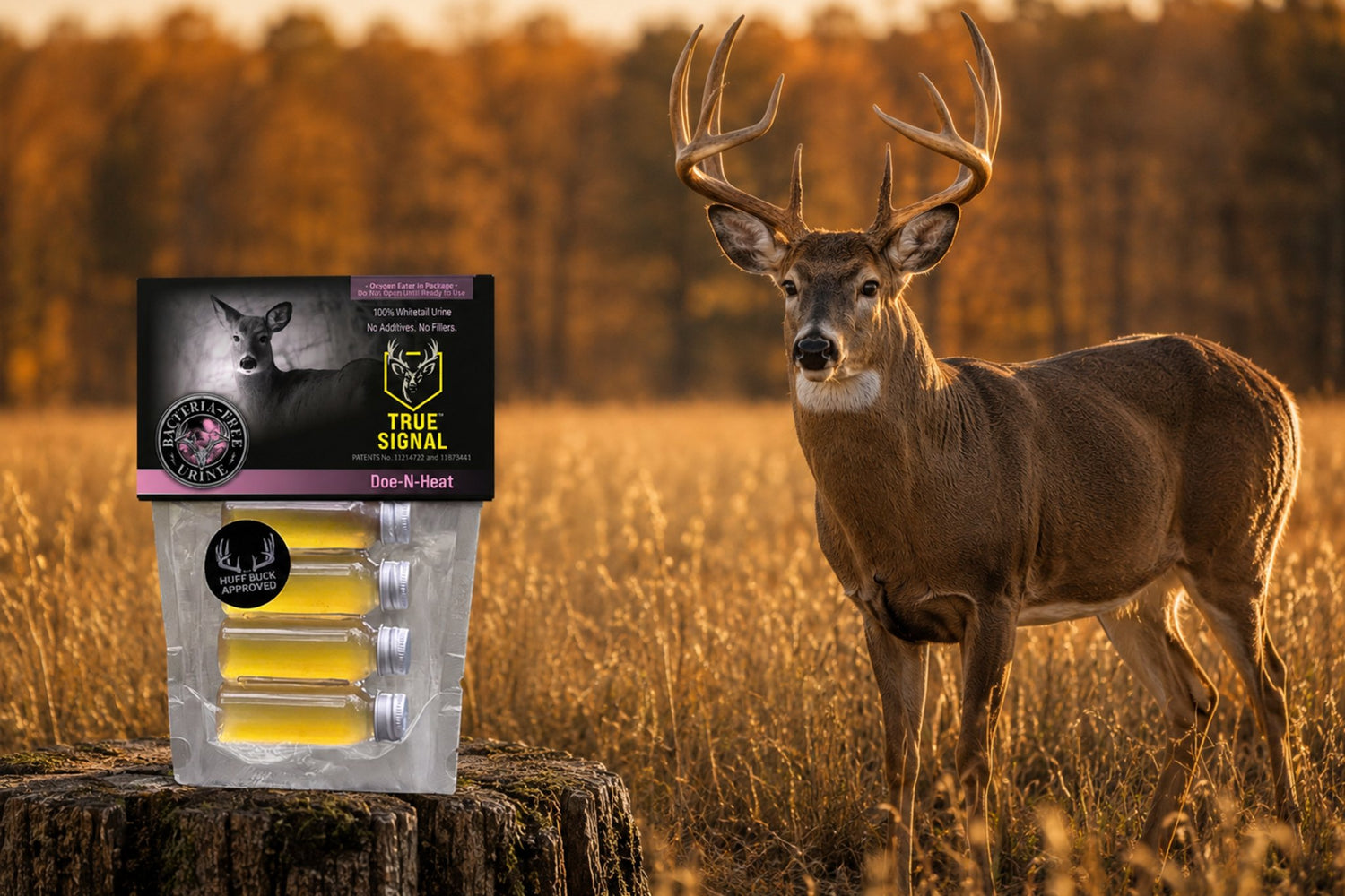 True Signal™ field visual showing protected fresh deer signal ready for use in a hunting setup.